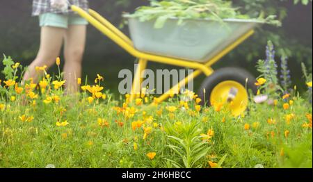 Una ragazza contadina tiene una carriola con erbacce e cammina nel suo giardino. Foto Stock