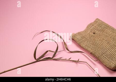 Le spikelets asciutte e una borsa di lino si trovano su uno sfondo rosa, erbe asciutte Abstract per un arredamento elegante casa. Primo piano, appartamento, vista dall'alto, spazio per fotocopie. Foto Stock