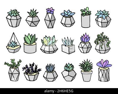 Set di succulenti cactus houseplants in vasi di fiori grigi. Icone vettoriali su sfondo bianco Illustrazione Vettoriale