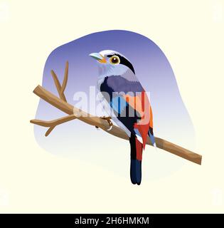 Illustrazione uccello bello colorato seduto sul vettore di ramo Illustrazione Vettoriale
