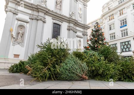 Discarica pila di molti abeti abbandonati usati alberi di natale raccolti per la rimozione o il riciclaggio dopo la fine festa di Natale nel centro storico di Vienna europeo Foto Stock