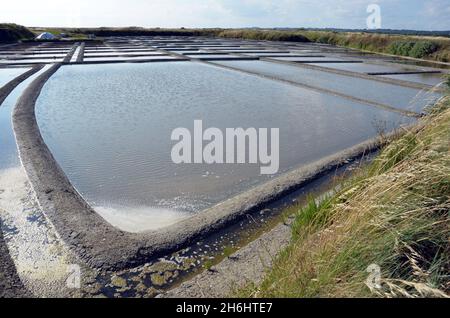 Le paludi di sale vicino alla cittadina di Guérande sono ancora molto attive e ben note in Francia. Foto Stock