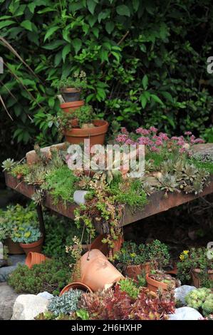 SOLINGEN, GERMANIA - 15 GIUGNO 2013: Decorazione del giardino tedesco Ulbrich nel mese di giugno Foto Stock