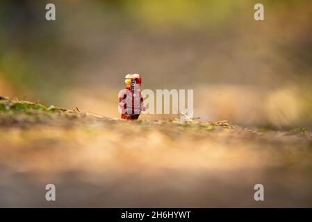 lego zombie ferro uomo Foto Stock