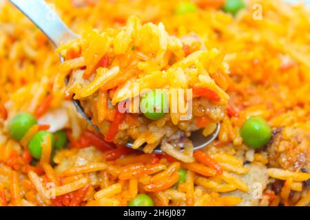 Un'immagine della ricetta di Veg biryani con focus selettivo Foto Stock