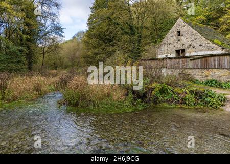 Fiume Lathkill vicino Lathkill Lodge e sopra Haddon, Lathkill Dale, Peak District National Park, Derbyshire, Inghilterra. Foto Stock