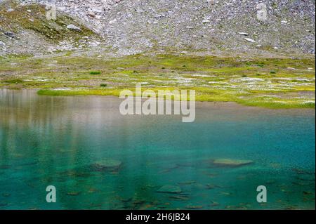 Lago di montagna con cottongrass in Val Maighels, Surselva Foto Stock