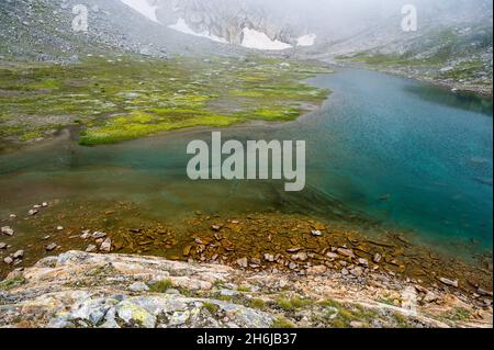 Lago di montagna con cottongrass in Val Maighels, Surselva Foto Stock