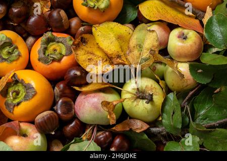 Primo piano dei frutti autunnali. Mele fresche crude, kaki e castagne, concetto di cibo sano Foto Stock