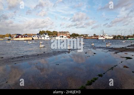 Oulton Broad, cigni che si godono l'acqua alta con le barche ormeggiate e l'hotel wherry in background, Foto Stock