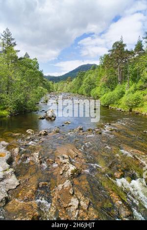 River Affric in Glen Affric, guardando a ovest a monte, dal parcheggio. Riserva naturale nazionale, Cannich, Inverness, Highland, Scozia, REGNO UNITO Foto Stock