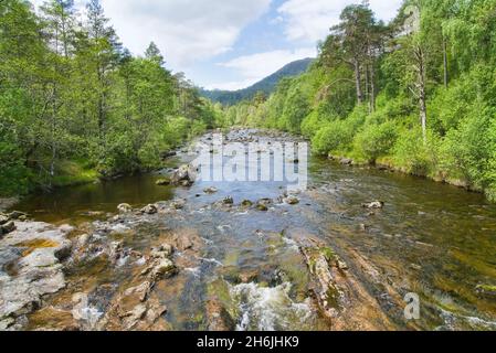 River Affric in Glen Affric, guardando a ovest a monte, dal parcheggio. Riserva naturale nazionale, Cannich, Inverness, Highland, Scozia, REGNO UNITO Foto Stock