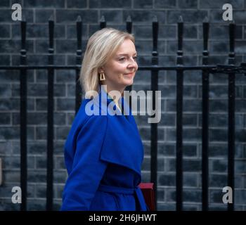 Downing Street, Londra, Regno Unito. 16 novembre 2021. Elizabeth Truss MP, Segretario di Stato per gli affari esteri, del Commonwealth e dello sviluppo, a Downing Street per la riunione settimanale del gabinetto. Credit: Malcolm Park/Alamy Live News. Foto Stock