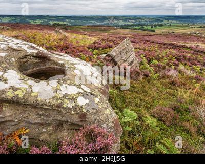 High Crag nei pressi di Pateley Bridge a Nidderdale, Yorkshire, Inghilterra, Regno Unito, Europa Foto Stock