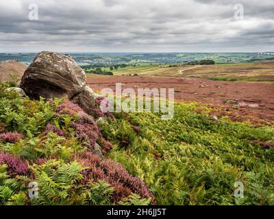 High Crag nei pressi di Pateley Bridge a Nidderdale, Yorkshire, Inghilterra, Regno Unito, Europa Foto Stock