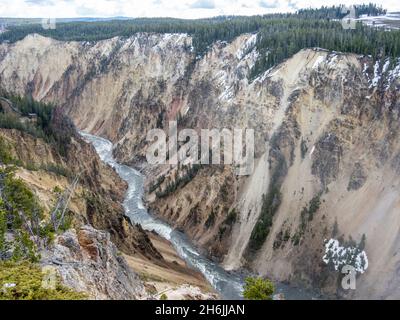 Le Lower Yellowstone Falls nel fiume Yellowstone, il parco nazionale di Yellowstone, patrimonio dell'umanità dell'UNESCO, Wyoming, Stati Uniti d'America Foto Stock