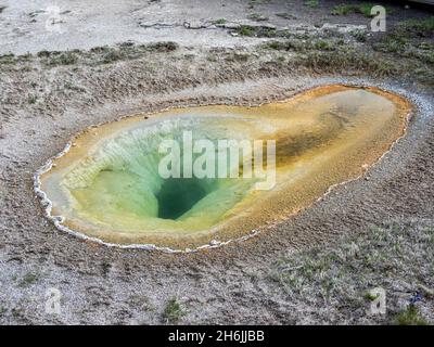 Belgian Pool, nell'area di Norris Geyser Basin, Yellowstone National Park, sito patrimonio dell'umanità dell'UNESCO, Wyoming, Stati Uniti d'America Foto Stock