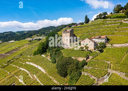 Antenna delle terrazze di Lavaux Vineyard, patrimonio dell'umanità dell'UNESCO, Lago di Ginevra, Svizzera, Europa Foto Stock
