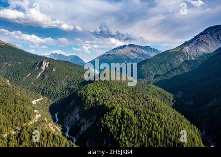 Parco Nazionale Svizzero, Zernez, Alpi Retiche, Svizzera, Europa Foto Stock
