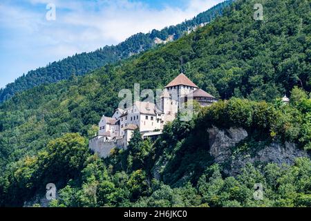 Il castello di Vaduz, Vaduz, Liechtenstein, Europa Foto Stock