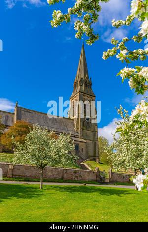 Vista della chiesa di San Pietro e della fioritura primaverile, Edensor Village, Chatsworth Park, Bakewell, Derbyshire, Inghilterra, Regno Unito, Europa Foto Stock