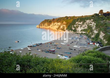 Vista sulla spiaggia di birra e scogliere all'alba, birra, Jurassic Coast, sito patrimonio dell'umanità dell'UNESCO, Devon, Inghilterra, Regno Unito, Europa Foto Stock