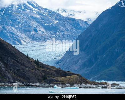 Il South Sawyer Glacier di Tidewater si incontra con la roccia, Tracy Arm, Alaska sud-orientale, Stati Uniti d'America, Nord America Foto Stock