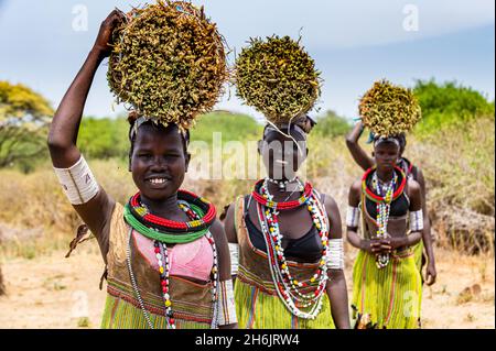 Ragazze con canne raccolte sulla loro testa in viaggio di ritorno a casa, tribù Toposa, Equatoria orientale, Sudan del Sud, Africa Foto Stock