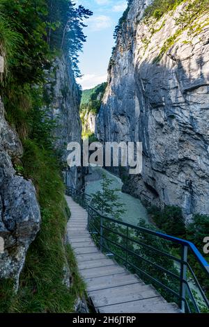 Il fiume Aare attraversa la gola di Aare, Meiringen, Oberland Bernese, Svizzera, Europa Foto Stock