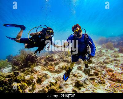 Coppia scuba diving mentre esplorano le barriere coralline di Bonaire, Antille Olandesi, Caraibi, America Centrale Foto Stock