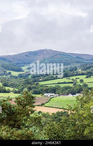 Vista di Moel Famau nella catena Clwydian dalla passeggiata sulla scogliera al Loggerheads Country Park, Galles, Regno Unito, Foto Stock