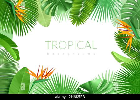 Telaio di foglie tropicali. Realistiche piante esotiche estive, sfondo di palme hawaiane, monstera, banana e banner verde cacao. Poster vettoriale Illustrazione Vettoriale