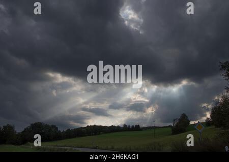 Herbst Spaziergang Sträucher und Früchte Foto Stock