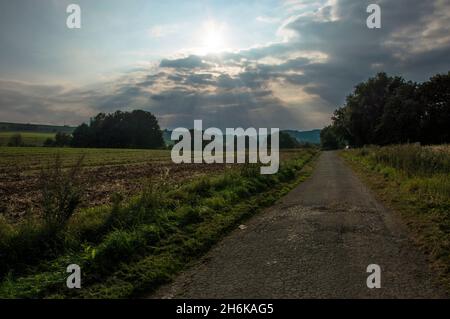 Herbst Spaziergang Sträucher und Früchte Foto Stock