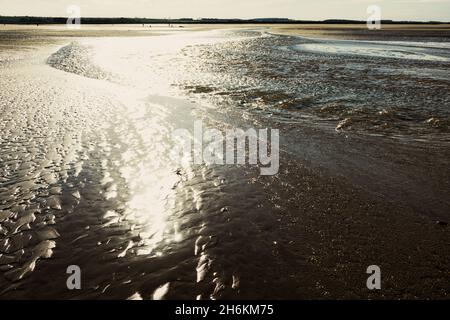 Sole splendente e scintillante sulla sabbia bagnata a Brancaster Beach North Norfolk Inghilterra Foto Stock