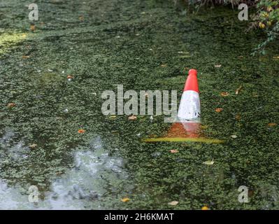 Cono di traffico rosso e bianco galleggiante in acqua con vegetazione laghetto Foto Stock