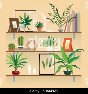 Piante su scaffale. Piante di casa in pentola su mensole. Giardino interno piantagione in vaso, elementi di decorazione casa vettore. Illustrazione Vettoriale