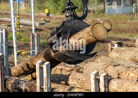 Una gru con ganasce carica tronchi di albero nei carri Foto Stock