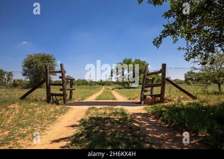 Cancello d'ingresso su una fattoria con pali di legno come supporti. Percorso a due file che porta alla distanza Foto Stock