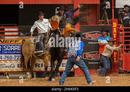 DAVIE, Stati Uniti. 12 novembre 2021. BAREBACK Riding visto sulle finali del circuito sudorientale Rodeo in DAVIE, FL dal 11 al 13 novembre 2021 durante l'evento. (Foto di Yaroslav Sabitov/YES Market Media/Sipa USA) Credit: Sipa USA/Alamy Live News Foto Stock