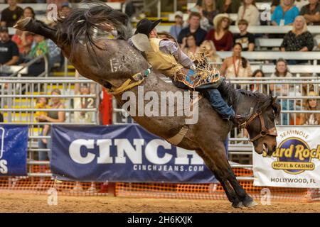 DAVIE, Stati Uniti. 12 novembre 2021. BAREBACK Riding visto sulle finali del circuito sudorientale Rodeo in DAVIE, FL dal 11 al 13 novembre 2021 durante l'evento. (Foto di Yaroslav Sabitov/YES Market Media/Sipa USA) Credit: Sipa USA/Alamy Live News Foto Stock