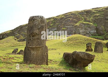 Gruppo di massicce statue di Moai abbandonate sparse sul pendio del vulcano Rano Raraku, la storica cava di Moai sull'isola di Pasqua, Cile Foto Stock