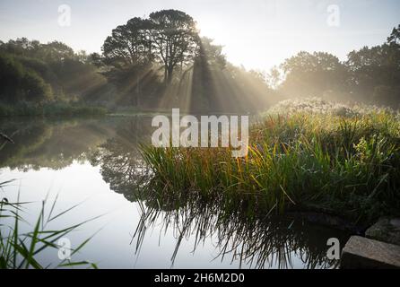 Il Lago Ornamental sul Southampton Common. Southampton, Inghilterra. Foto Stock