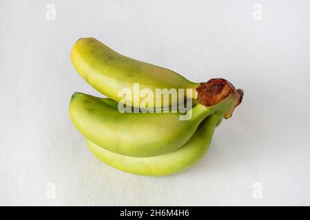 Piccole banane gialle e verdi su sfondo bianco Foto Stock