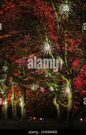 Kew Gardens, Londra, Regno Unito. 16 novembre 2021. Natale a Kew ritorna ai Giardini Botanici reali di Kew per il suo 9° anno con uno spettacolare sentiero di installazioni luminose che i visitatori possono godere. Credit: Imagplotter/Alamy Live News Foto Stock