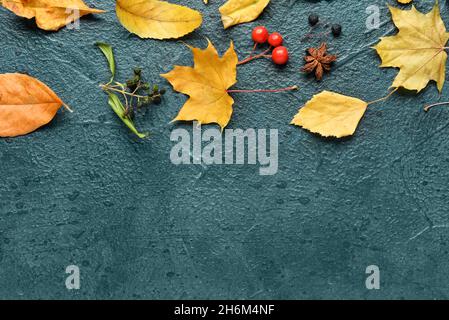 Composizione autunnale su sfondo scuro Foto Stock