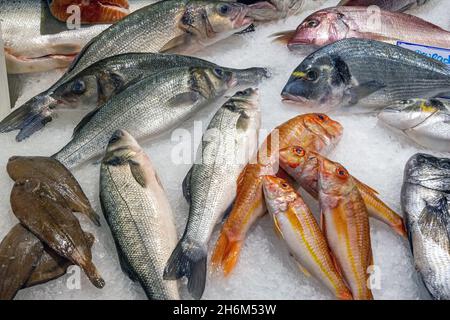 Diversi tipi di pesce fresco in una bancarella di mercato a Lisbona, Portogallo Foto Stock