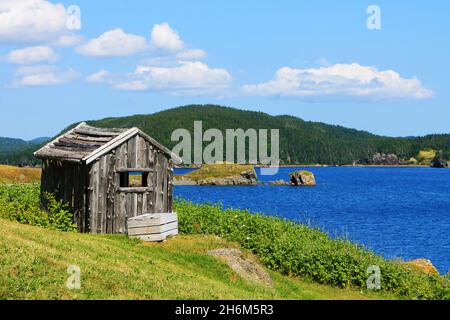 Un vecchio edificio esterno, intemperiato su una collina erbosa sul lato della baia, Trinity Bay, Terranova. Foto Stock