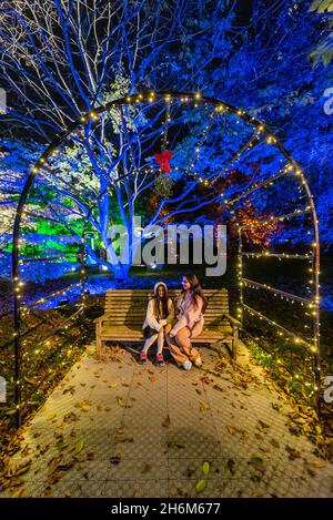 Londra, Regno Unito. 16 novembre 2021. Natale al Kew Gardens per il 2021, incorpora spettacolari nuovi spettacoli che illuminano l'iconico Tempperate di Kew e le Palme Houses. Credit: Guy Bell/Alamy Live News Foto Stock