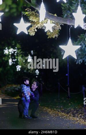 Kew Gardens, Richmond, Regno Unito. 16 novembre 2021. Oltre un milione di luci scintillanti illuminano gli iconici giardini Kew mentre la loro esposizione di luci di Natale ritorna per un nono anno. Il Natale a Kew parte da mercoledì 17 novembre 2021 a domenica 9 gennaio 2022 Amanda Rose/Alamy Live News Foto Stock